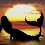 La Isla Mágica – Cuentos de La Estrella, La Luna y El Sol