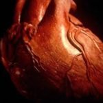 La Isla Mágica – Sólo Para Sentir