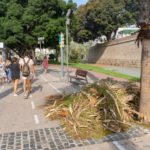 El Ayuntamiento habilita un número de teléfono para reforzar la recogida de restos vegetales en las zonas costeras de Cartagena