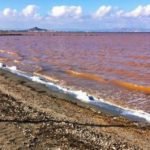 Concentración en San Esteban “Por un Mar Menor Vivo” #SOSMarMenor Concentración en San Esteban “Por un Mar Menor Vivo” #SOSMarMenor