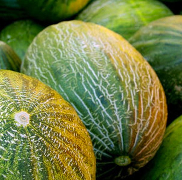 Carrefour ha comprado más de un millón de kilos de melones del Campo de Cartagena Carrefour ha comprado más de un millón de kilos de melones del Campo de Cartagena