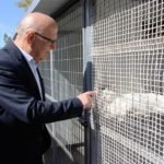 El Ayuntamiento saca a licitación el nuevo contrato del Centro de Acogida de Animales (CATAD) El Ayuntamiento saca a licitación el nuevo contrato del Centro de Acogida de Animales (CATAD)
