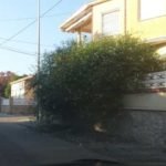 MC promoverá que se garantice la limpieza de solares en Punta Brava y El Carmolí y la atención médica en los núcleos rurales dispersos del Lentiscar MC promoverá que se garantice la limpieza de solares en Punta Brava y El Carmolí y la atención médica en los núcleos rurales dispersos del Lentiscar