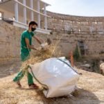 Patrimonio inicia los trabajos de la II fase del Anfiteatro Romano