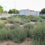 La Junta de Gobierno aprueba los proyectos del nuevo Cuartel de la Zona Norte y de la Asociación de Empresarios de Los Camachos La Junta de Gobierno aprueba los proyectos del nuevo Cuartel de la Zona Norte y de la Asociación de Empresarios de Los Camachos