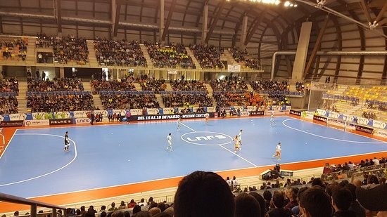 Jimbee Cartagena junto con la Concejalía de Deportes trabajan para hacer posible el acceso de público al Palacio Jimbee Cartagena junto con la Concejalía de Deportes trabajan para hacer posible el acceso de público al Palacio