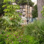 Los ciudadanos podrán colaborar con el Ayuntamiento en la elaboración del inventario digital de jardines del municipio Los ciudadanos podrán colaborar con el Ayuntamiento en la elaboración del inventario digital de jardines del municipio