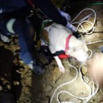 Rescatado un perro del pozo al que se había caído en el interior de una mina en el Llano del Beal