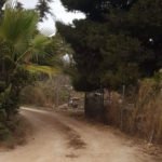 El paraje de Los Carriones dispondrá de calles asfaltadas El paraje de Los Carriones dispondrá de calles asfaltadas