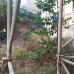 Sanidad desratiza un solar en la calle Cuatro Santos para proceder a su limpieza subsidiaria Sanidad desratiza un solar en la calle Cuatro Santos para proceder a su limpieza subsidiaria