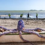 El Ayuntamiento de Cartagena remite al Ministerio un programa de retirada de secos y fangos de las playas del Mar Menor sur El Ayuntamiento de Cartagena remite al Ministerio un programa de retirada de secos y fangos de las playas del Mar Menor sur