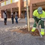 Comienza la plantación de 70 nuevos árboles en 21 centros escolares del municipio Comienza la plantación de 70 nuevos árboles en 21 centros escolares del municipio