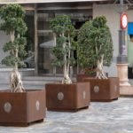 El Servicio de Parques y Jardines instala 15 nuevos maceteros en el centro de Cartagena