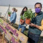 El Vivero de Mujeres de Mandarache estrena huerto ecológico