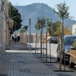 El Ayuntamiento planta nuevo arbolado en San José Obrero y podará 2.400 palmeras en Isla Plana y La Azohía