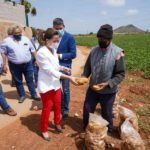 Respaldo municipal al sello de calidad de la Patata del Campo de Cartagena Respaldo municipal al sello de calidad de la Patata del Campo de Cartagena