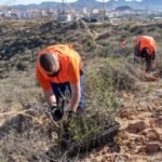 El Ayuntamiento presenta el Plan de Acción por el Clima y la Energía Sostenible (PACES) de Cartagena