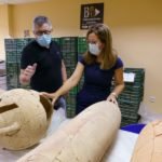 El Museo Arqueológico Municipal restaura su colección de ánforas del siglo III Antes de Cristo para exponerlas al público