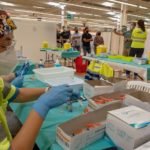 Los jóvenes cartageneros de 20 años en adelante podrán solicitar cita para la vacunación a partir de mañana