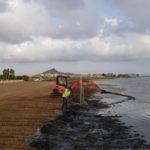 Cerca de una treintena de operarios trabajan en la retirada de biomasa en las playas del sur del Mar Menor