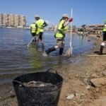 El Ayuntamiento cierra las playas desde Cala del Pino a Playa Honda para proceder a la limpieza y retirada de peces muertos El Ayuntamiento cierra las playas desde Cala del Pino a Playa Honda para proceder a la limpieza y retirada de peces muertos