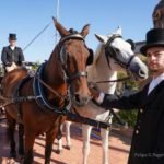 Una treintena de coches de caballos se darán cita en la IV edición del Concurso Nacional de Enganches de Tradición Una treintena de coches de caballos se darán cita en la IV edición del Concurso Nacional de Enganches de Tradición