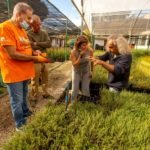 El Cartagena Jazz Festival junto a voluntarios de Soltec y ANSE realizan una acción para la mejora de la calidad ambiental