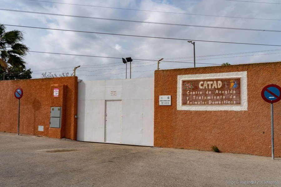 El Ayuntamiento contrata la gestión del CATAD por 614.196 euros