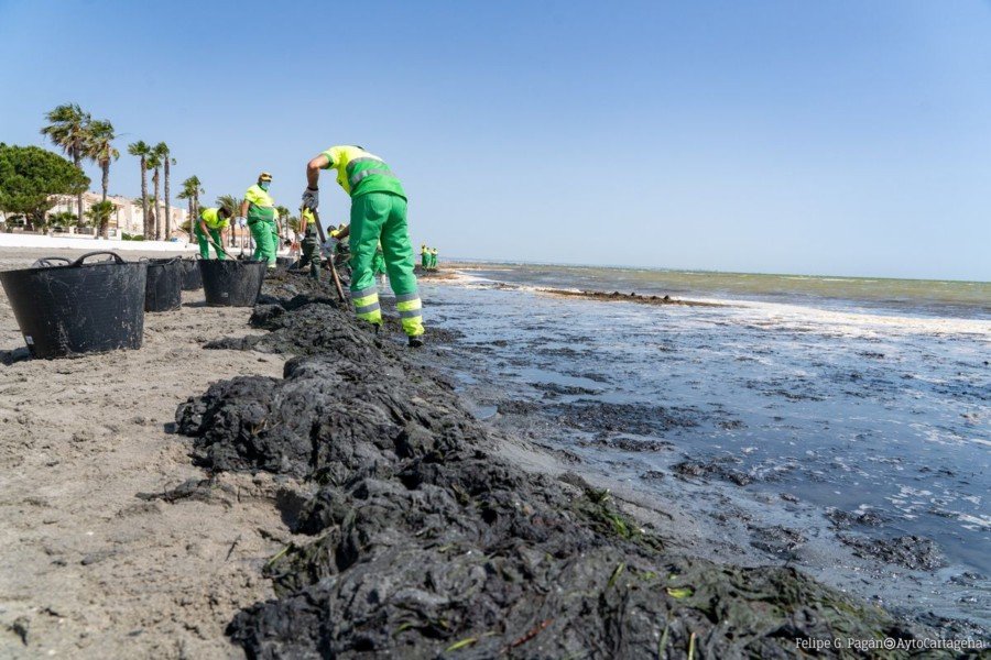 La alcaldesa muestra su preocupación por las consecuencias de las últimas lluvias sobre el Mar Menor La alcaldesa muestra su preocupación por las consecuencias de las últimas lluvias sobre el Mar Menor