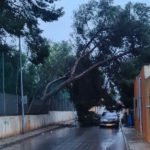 El derrumbe de una vivienda y la retirada de árboles caídos por las lluvias centran las labores de Bomberos El derrumbe de una vivienda y la retirada de árboles caídos por las lluvias centran las labores de Bomberos