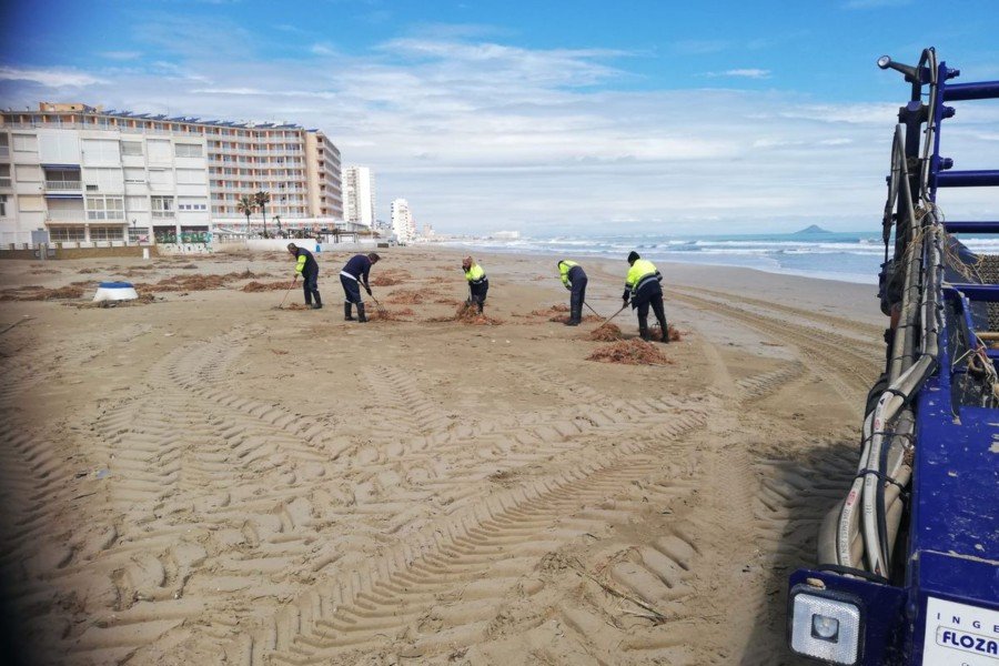 Comienzan los trabajos de limpieza en playas tras el temporal