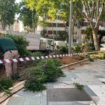 Vía pública acondiciona parterres en el Paseo Alfonso XIII