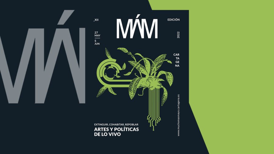 Mucho Más Mayo programa actividades para este fin de semana en todo el municipio Mucho Más Mayo programa actividades para este fin de semana en todo el municipio