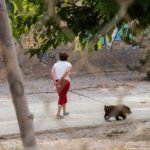 La Policía Local pone en marcha una campaña especial para controlar el cuidado de las mascotas La Policía Local pone en marcha una campaña especial para controlar el cuidado de las mascotas