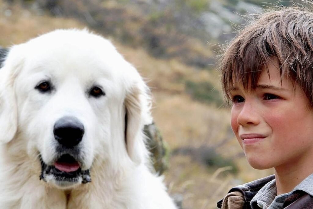 El festival Cinélycée proyecta este martes la película ‘Belle et Sébastien’ en el Luzzy El festival Cinélycée proyecta este martes la película ‘Belle et Sébastien’ en el Luzzy