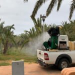 El Ayuntamiento inicia un plan de choque contra los mosquitos en barrios y diputaciones El Ayuntamiento inicia un plan de choque contra los mosquitos en barrios y diputaciones