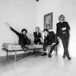 Últimas entradas de Elefantes en el Fuerte de Navidad