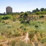 Adelante la modificación del Plan General que protegerá la masa arbórea y una noria junto al antiguo Hospital Naval