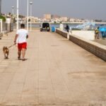 La Ordenanza de Playas no prohibirá el tránsito de mascotas por los paseos marítimos