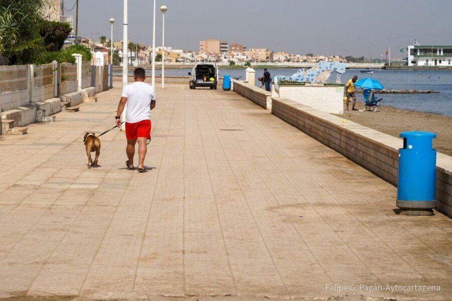 La Ordenanza de Playas no prohibirá el tránsito de mascotas por los paseos marítimos