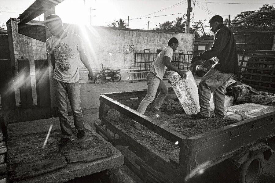 Las exposiciones de La Mar de Músicas siguen abiertas este verano