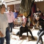 La aplicación Yompleo, pionera en España, es utilizada por un 22% de jóvenes menores de 25 años