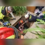 Bomberos de Cartagena rescatan a una mujer de una fosa séptica en Cuesta Blanca Bomberos de Cartagena rescatan a una mujer de una fosa séptica en Cuesta Blanca