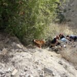 Bomberos y Protección Civil rescatan a un hombre de 86 años en una rambla de Isla Plana