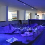 Cartagena formalizará su adhesión a la Red Española Ruta de los Fenicios