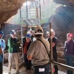 Una veintena de expertos y técnicos debaten en Cartagena sobre la Cueva Victoria Una veintena de expertos y técnicos debaten en Cartagena sobre la Cueva Victoria