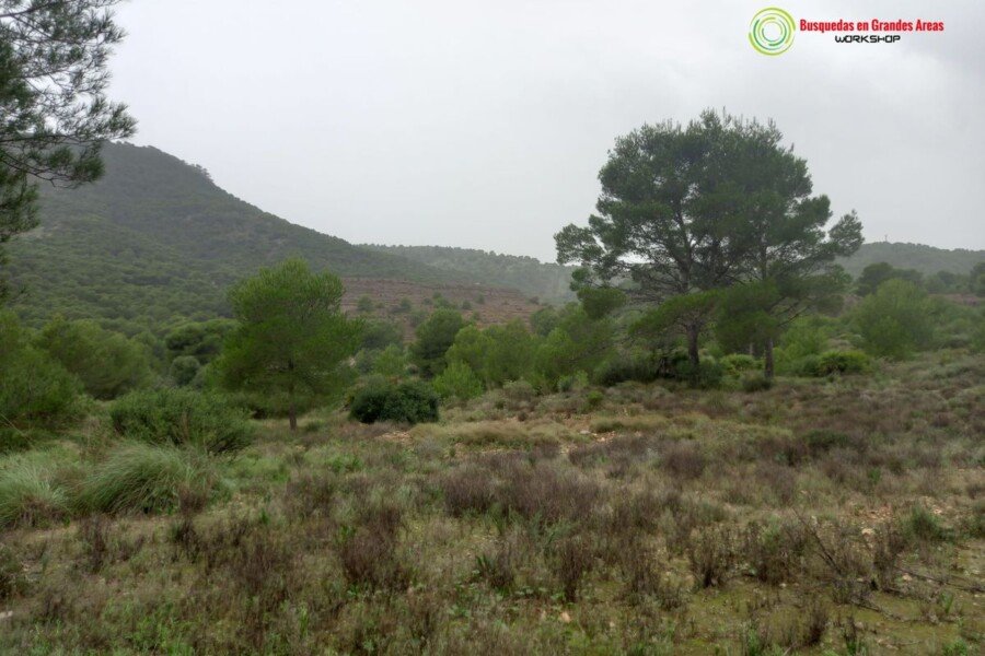 Cartagena acoge el primer Workshop de Búsqueda de Personas Desaparecidas en grandes áreas Cartagena acoge el primer Workshop de Búsqueda de Personas Desaparecidas en grandes áreas