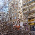 La poda de recorte en Wssell de Guimbarda se prolongará hasta el miércoles 18