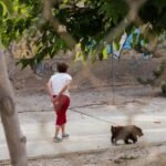 La Policía Local pone en marcha una nueva campaña de control de animales de compañía