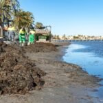 El Ayuntamiento activa un nuevo programa de mantenimiento para las playas del Mar Menor